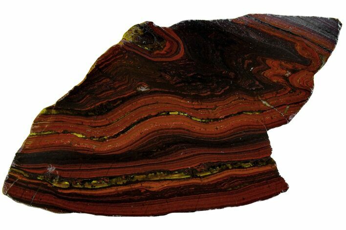 Polished Tiger Iron Stromatolite Slab - Billion Years #162090
